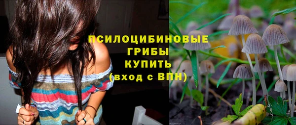 мдма Елизово