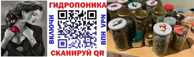Купить  Петухово  Бошки Шишки план 
